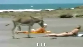 Тази гореща сладуран ...