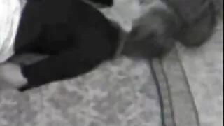 Джентълменът проникв ...